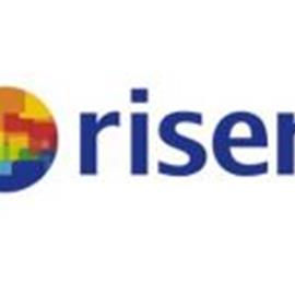 Cover image for Risen Energy 210 Series Bifacial Dual-glass Monocrystalline Photovoltaic Modules 