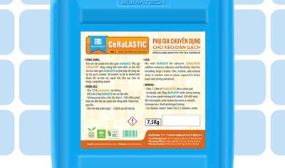 Cover image for CeRaLASTIC