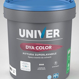 Cover image for PPG UNIVER DYA COLOR and FULLCOLOR