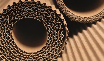 Cover image for Fluting paper and testliner paper derived from 100% recycled fibres