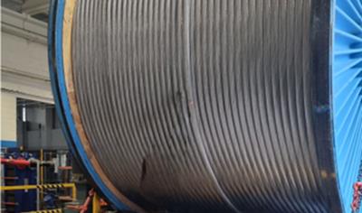 Cover image for Fjordcrossing