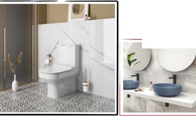 Cover image for Vitreous China (VC) & Fine Fire Clay (FFC) Ceramic Sanitaryware