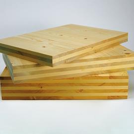 Cover image for EGO-CLT Cross Laminated Timber wood panel