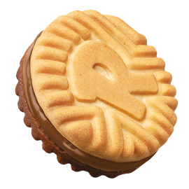 Cover image for Ringo Pavesi Nocciola