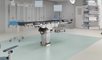 Cover image for Homogeneous Resilient Sheet