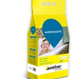 Cover image for Weberjoint