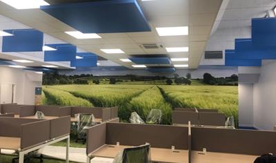 Cover image for Clipso Complex 495AC+CPA40+LA30