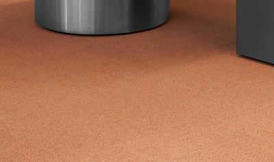 Cover image for Eco Matter WT