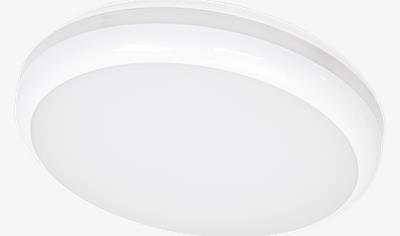 Cover image for Preston