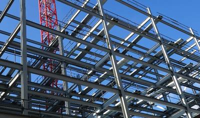Cover image for Primed and painted steel structures