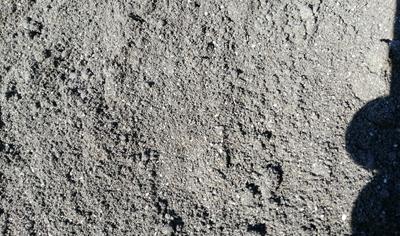 Cover image for Foundry sands 