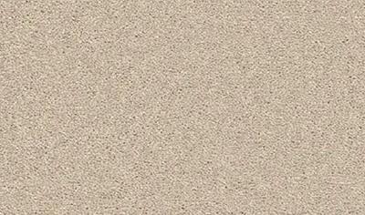 Cover image for Carefree Ultra