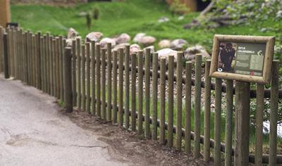Cover image for Impregnated Wood Products From Pine – NTR AB