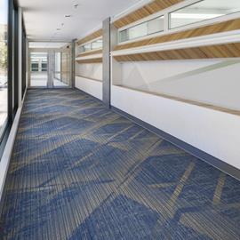 Cover image for Integra® HP Broadloom with Nylon 6,6