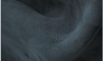 Cover image for PURE-ANILINE/NUBUCK LEATHER