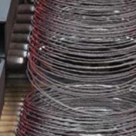 Cover image for COILS