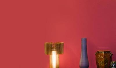 Cover image for Dursilite AP