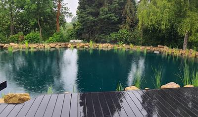 Cover image for GreenSeal