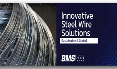 Cover image for Hot-dip Galvanized Steel Wire