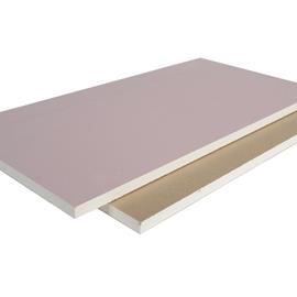 Cover image for Gyproc Fireline 12.5 mm