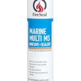 Cover image for Marine Multi MS