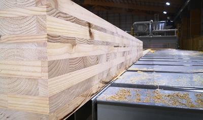 Cover image for Cross-Laminated Timber (CLT)