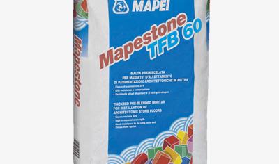 Cover image for Mapestone TFB 60