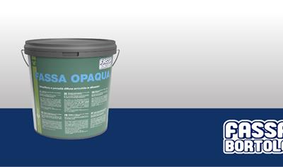 Cover image for FASSA OPAQUA
