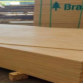 Cover image for Plywood C+/C