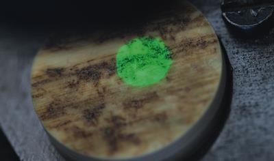 Cover image for Horn Buttons