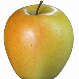 Cover image for Italian apples