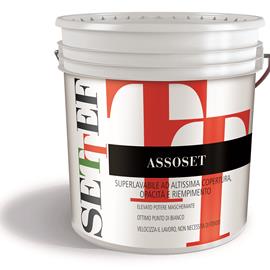 Cover image for Assoset