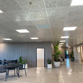Cover image for Exposed Internal Lining & Ceiling Tiles 