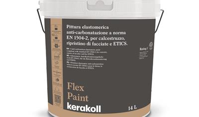 Cover image for Flex Paint