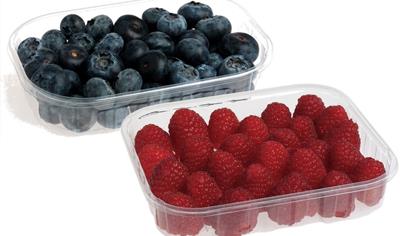 Cover image for Punnets for berries