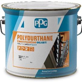 Cover image for PPG Polydurthane Brilhante