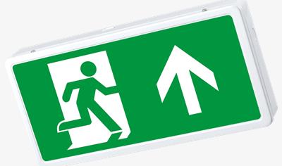 Cover image for Lexington LiFe