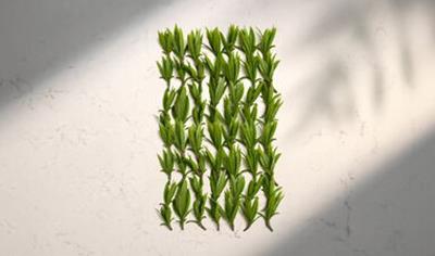 Cover image for Caesarstone  qaurtz models by Strategic partners