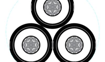 Cover image for Medium Voltage Triple Core Power Cable