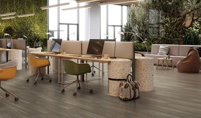 Cover image for Vinyl Flooring (LVT)