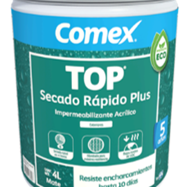 Cover image for PPG Comex TOP Quick Dry Plus 5 years