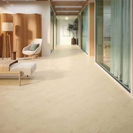 Cover image for Patcraft EcoWorx Resilient Dryback (EMEA)