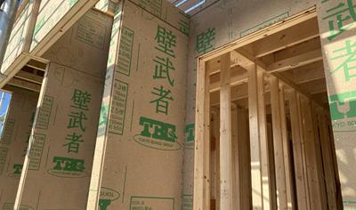 Cover image for Wood Particleboard