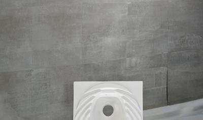 Cover image for Squat Toilet (Alaturka Toilet)
