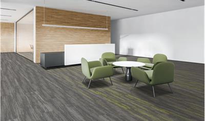 Cover image for Solution Dyed Nylon 6 Carpet Tile