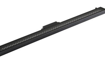 Cover image for Anolis Eminere® Remote 4