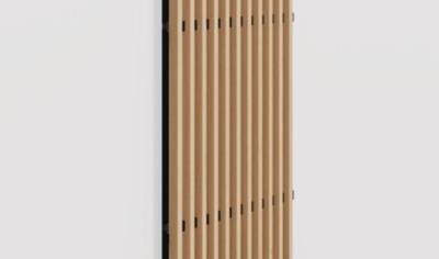 Cover image for WOODSLINES WL/V11/38