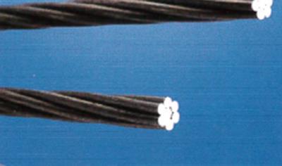 Cover image for Trefolo