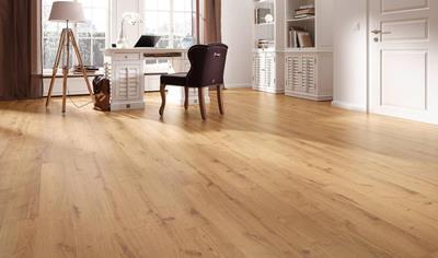 Cover image for PET FLOORING