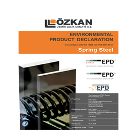 Cover image for Spring Steel
